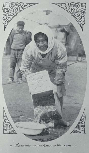 Measuring the catch
