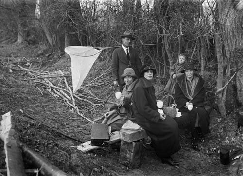 Picnickers with net