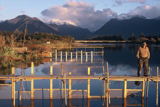 Whitebait stands 