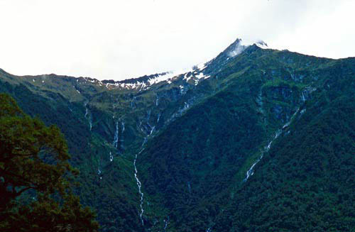 Stewart Knob