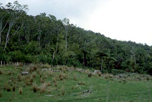 The Hanger, 1980 