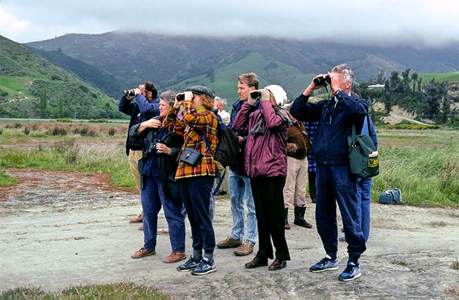 Birdwatchers