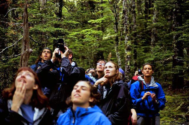 Birdwatching group
