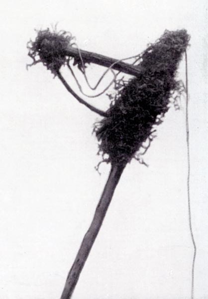 Snare made of sticks and string