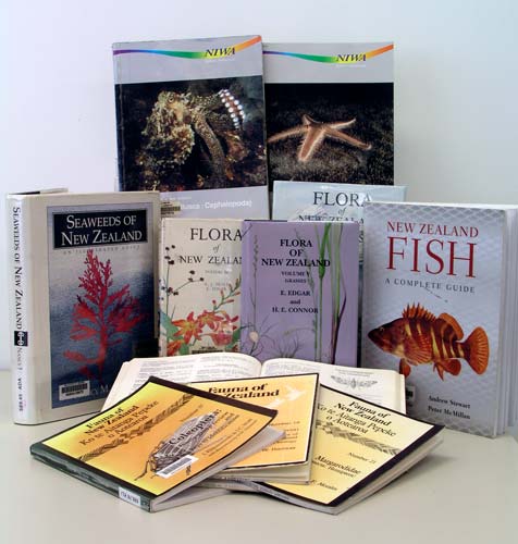 Identifying plants and animals