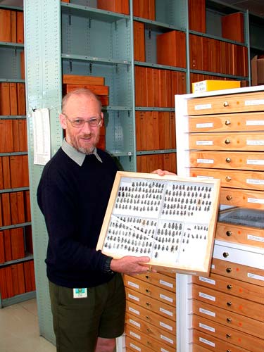 Arthropod collection
