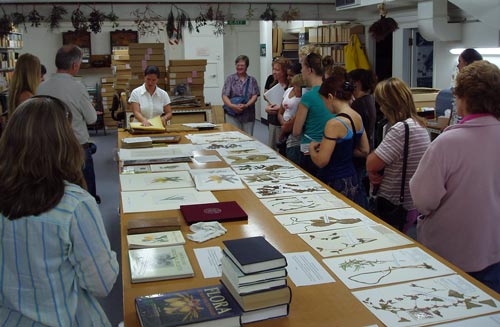 Cheeseman Herbarium 