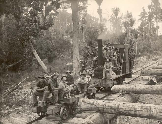 Bushmen on a bush train