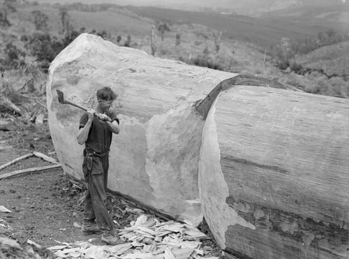Sniping logs 