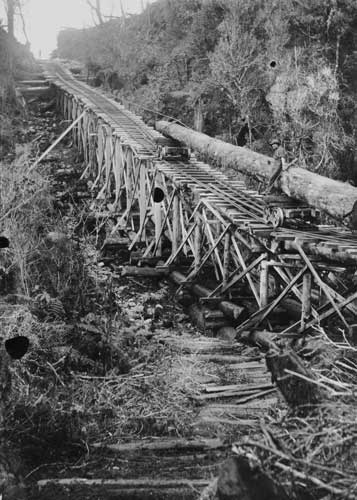 Bush tram viaduct