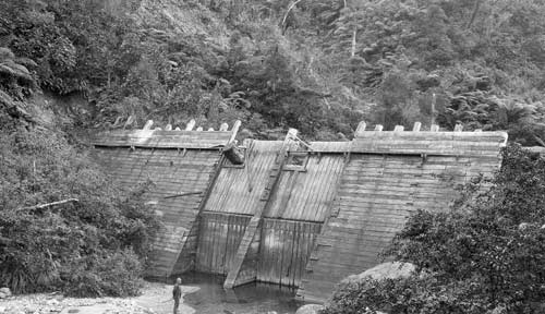 Kauri dam
