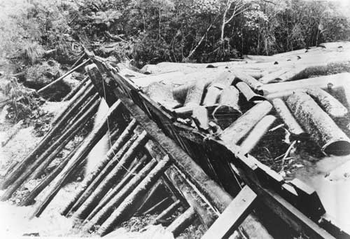 Kauri dam ready for tripping