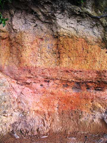 Coloured soils