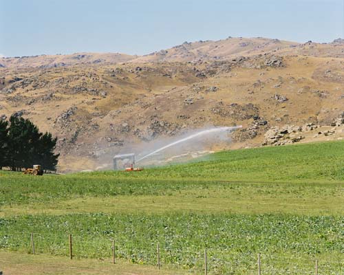 New Zealand's driest soils 
