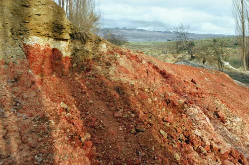 New Zealand's oldest soils