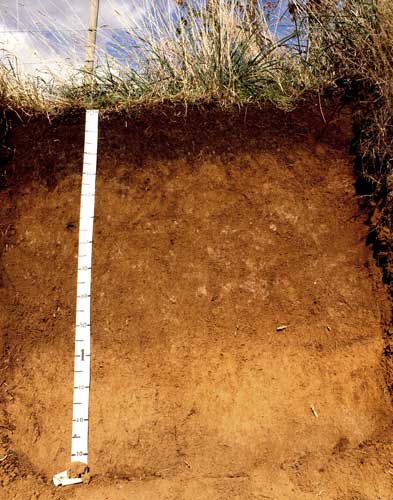 Allophanic soil 