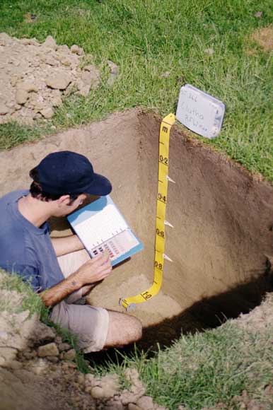 Soil mapping