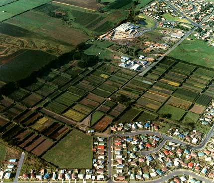 Urban fringe, Waitara