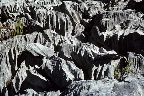 Fluted marble