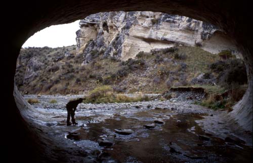 Cave Stream resurgence 
