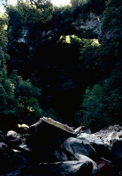 Ōpārara Arch 