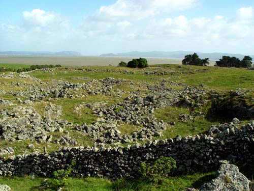 Ōtuataua stonefields 
