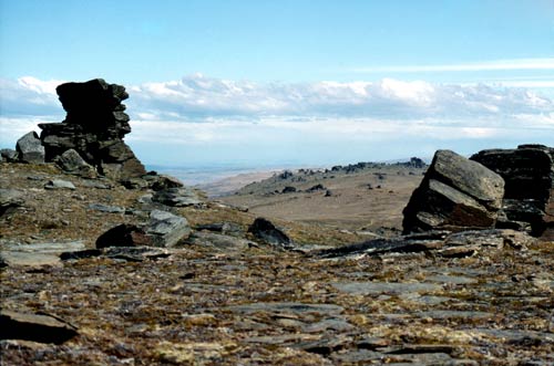 Tors