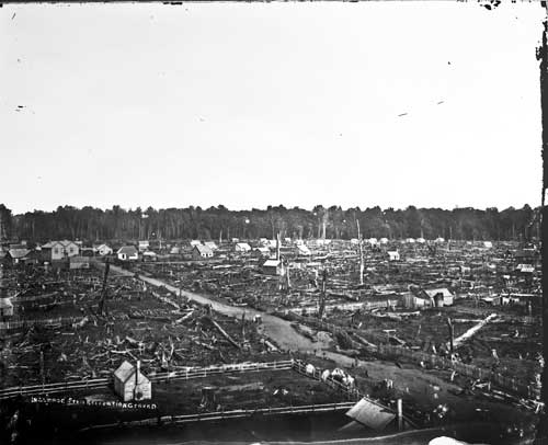 Cleared land