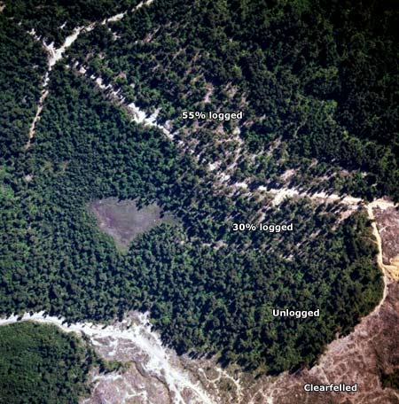 Selective logging