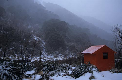 Forest Service Hut