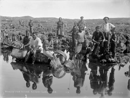 Swamp diggers 