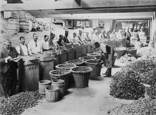 Gum warehouse