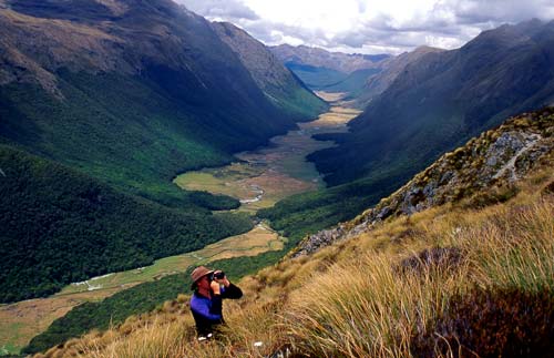 Greenstone valley, Otago