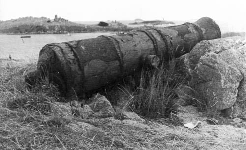 Cannon, Ruapuke Island