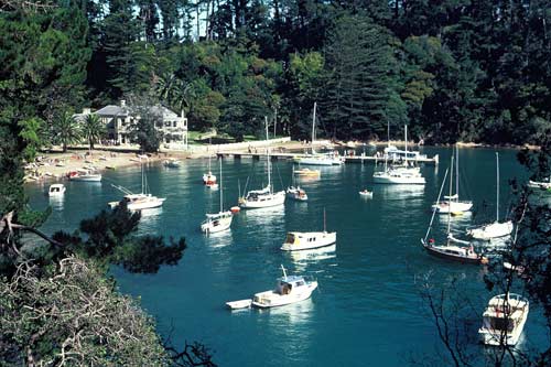 Mansion House Bay, Kawau Island