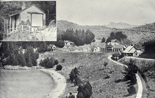 Ōtamahua (Quail Island)
