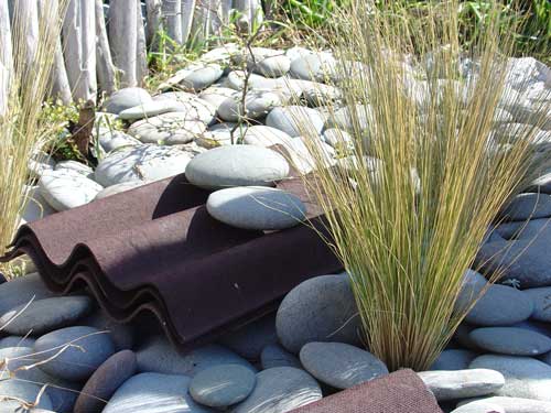 Lizard house 