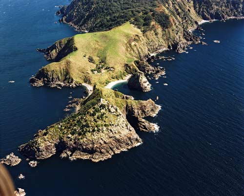 Cuvier Island