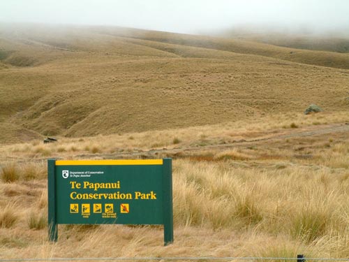 Te Papanui Conservation Park