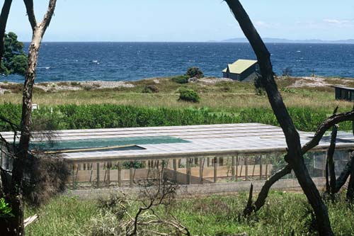 Tuatara enclosure, Little Barrier Island
