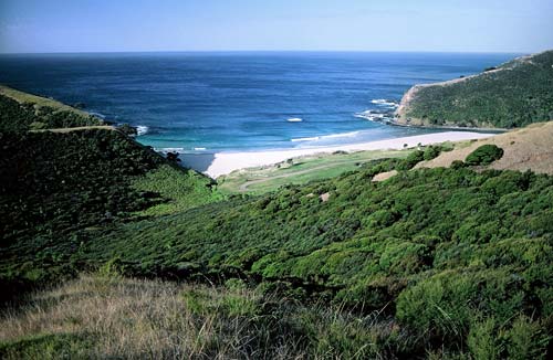 Tāpotupotu Bay