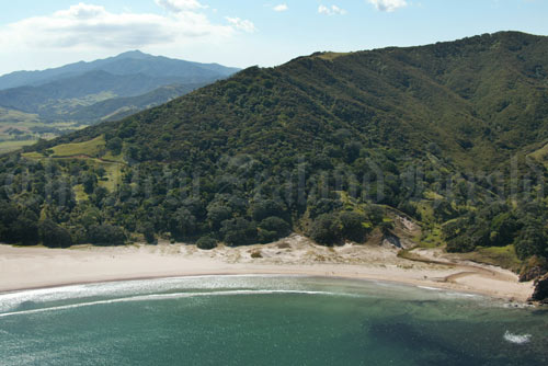 Waikawau Bay