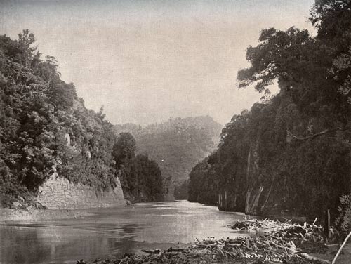 Whanganui River 