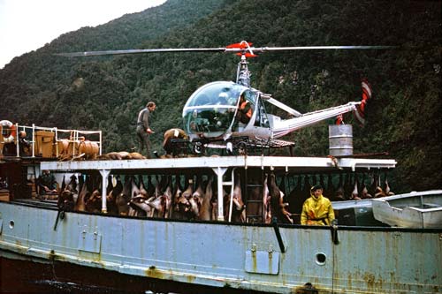 Deer control, Fiordland