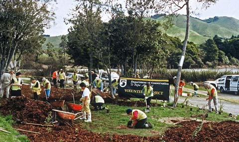 Volunteers