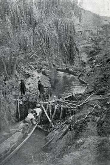 Pā tuna (eel weir)