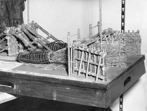 Model eel weir 