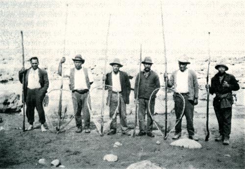 Hoop nets