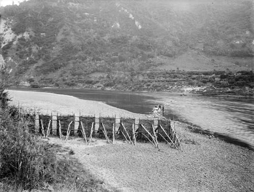 Utu piharau (lamprey weir)