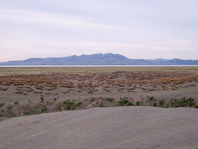 Canterbury’s coastal dune lands 